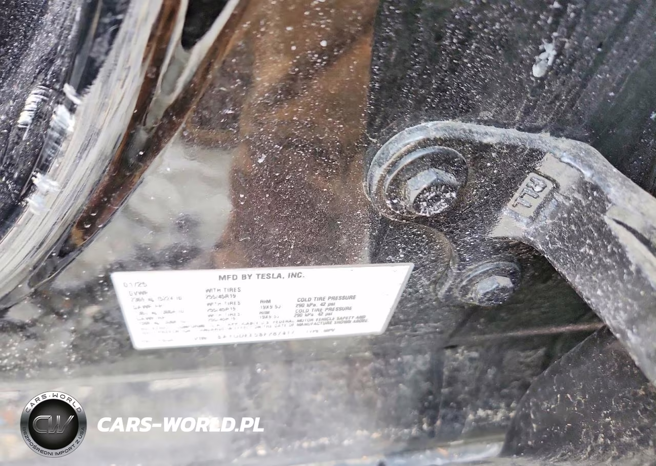 2025 Tesla Model Y VIN:7SAYGDEE5SF287417 - 12