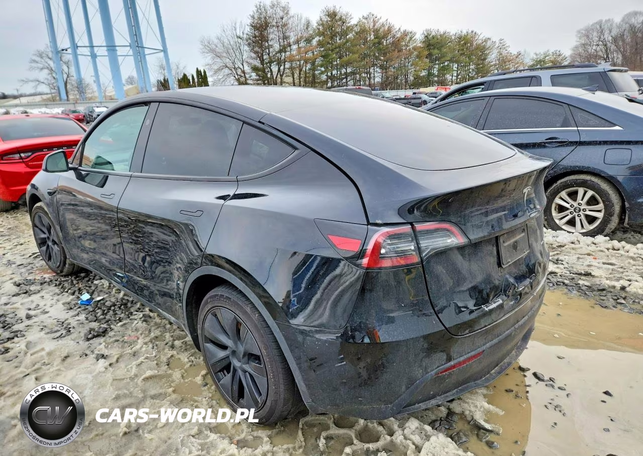 2025 Tesla Model Y VIN:7SAYGDEE5SF287417 - 2