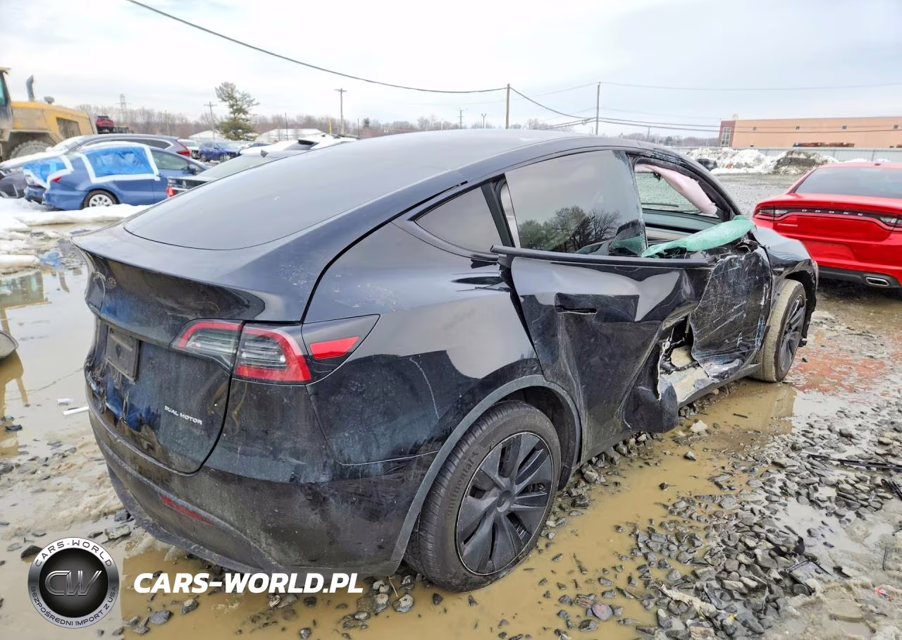 2025 Tesla Model Y VIN:7SAYGDEE5SF287417 - 3