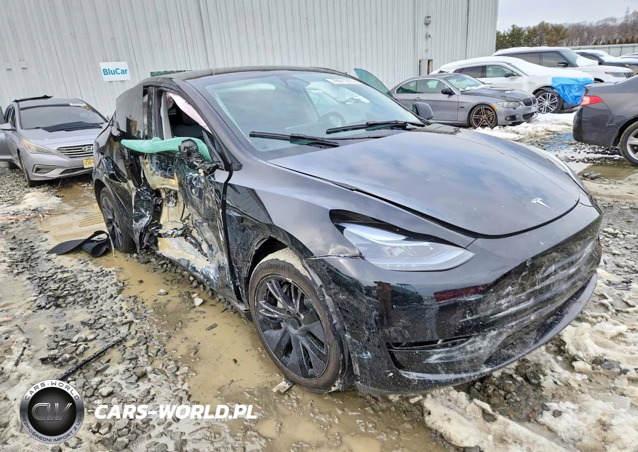 2025 Tesla Model Y VIN:7SAYGDEE5SF287417 - 4