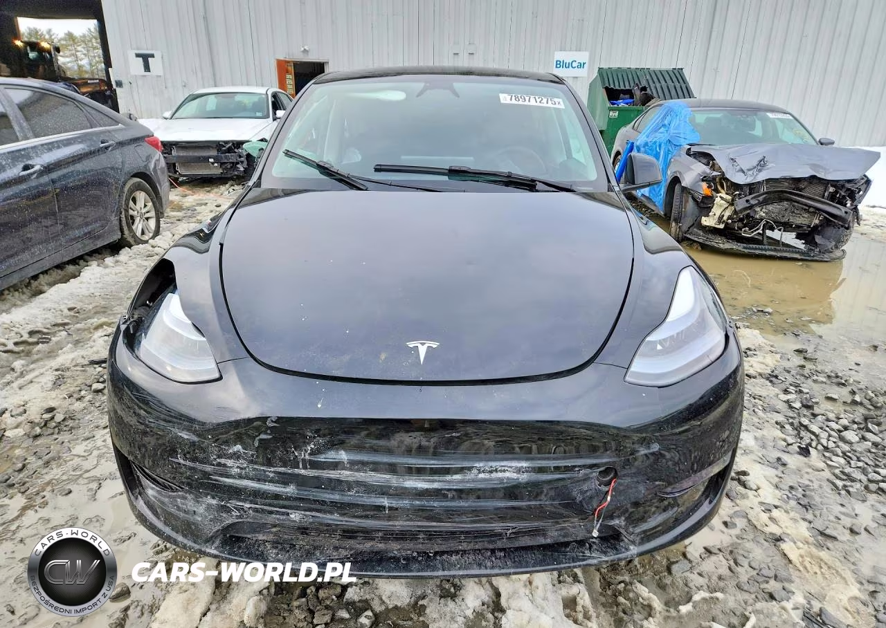 2025 Tesla Model Y VIN:7SAYGDEE5SF287417 - 5