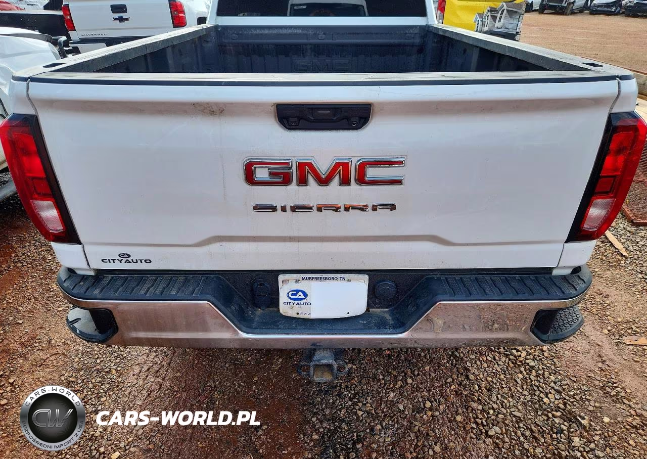 2020 GMC Sierra K2500 Heavy Duty VIN:1GT39LE77LF187619 - 10