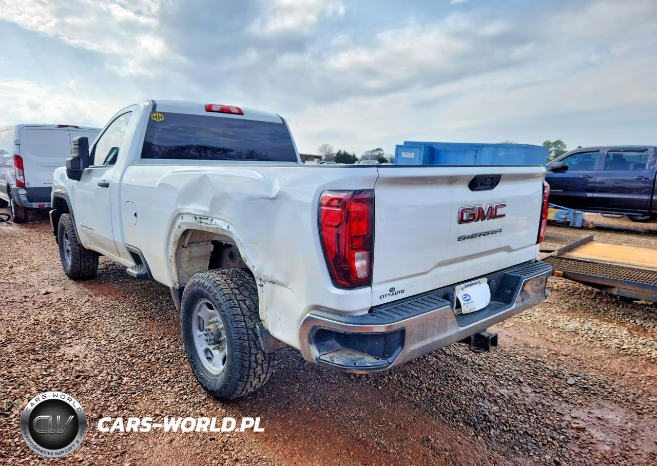 2020 GMC Sierra K2500 Heavy Duty VIN:1GT39LE77LF187619 - 2