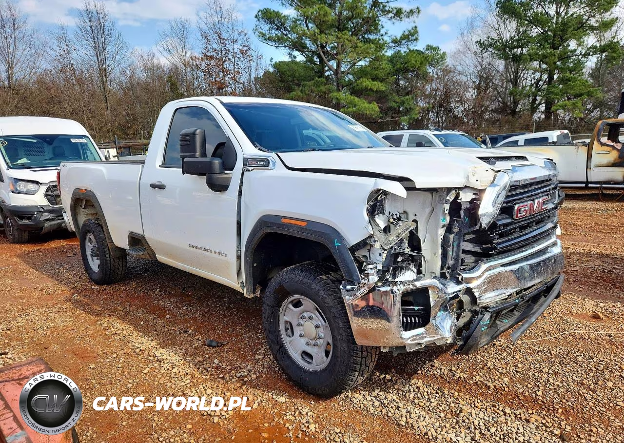 2020 GMC Sierra K2500 Heavy Duty VIN:1GT39LE77LF187619 - 4