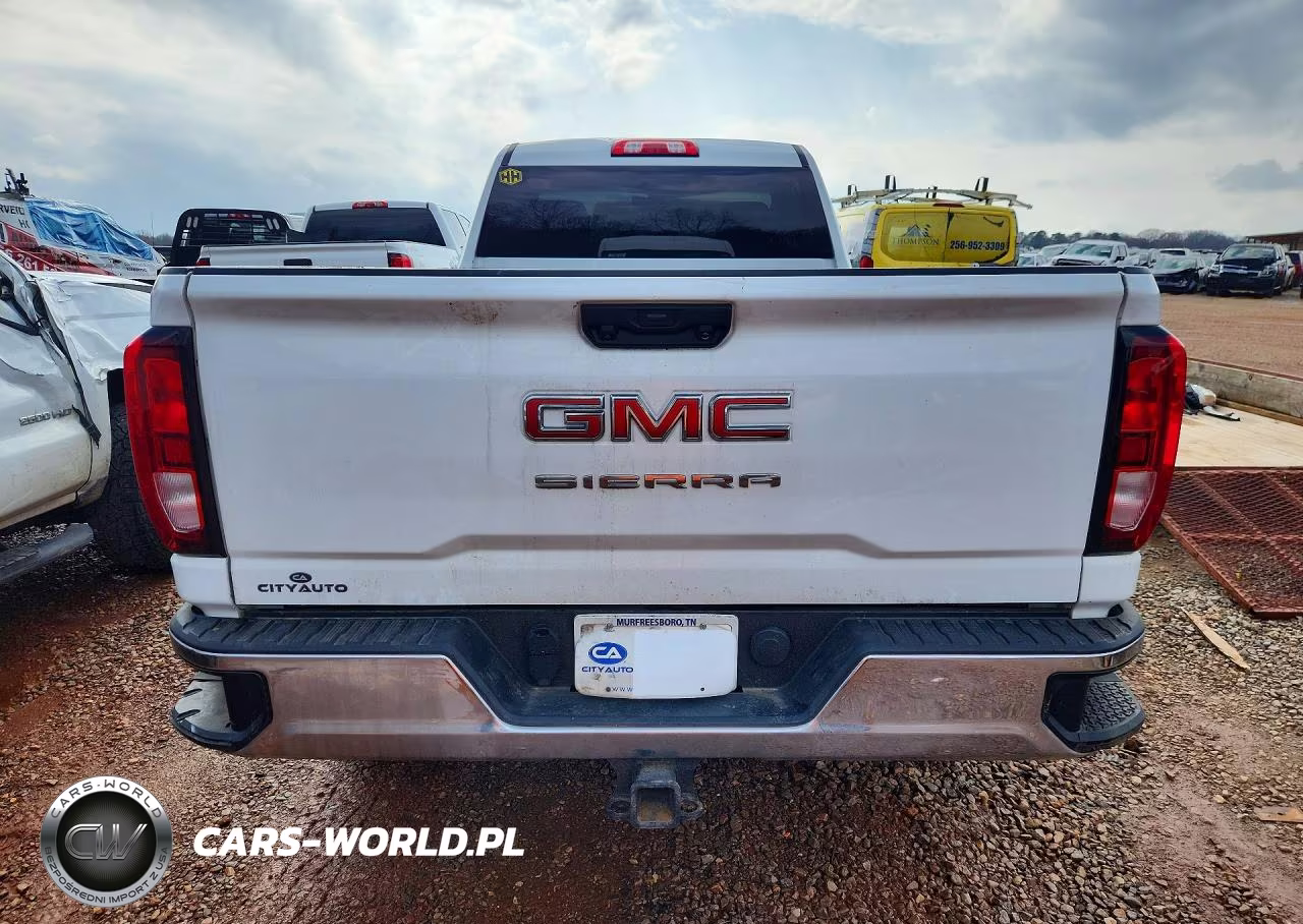 2020 GMC Sierra K2500 Heavy Duty VIN:1GT39LE77LF187619 - 6