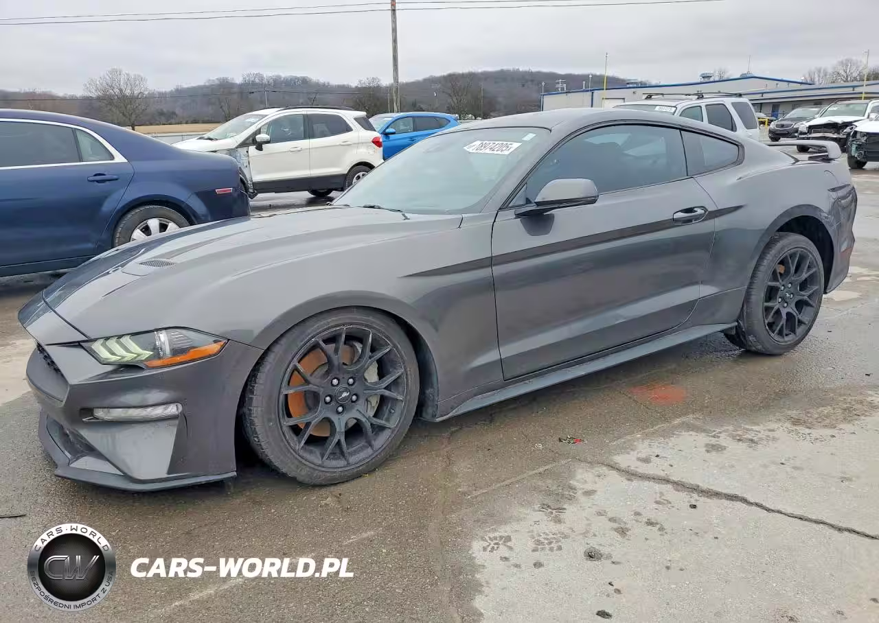 2019 Ford Mustang