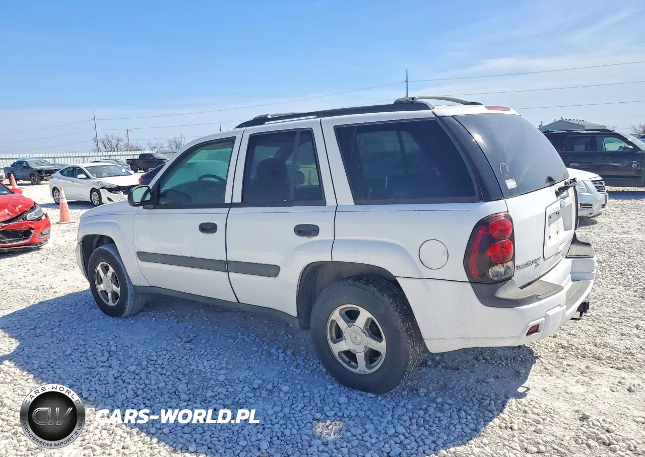 2005 Chevrolet Trailblazer Ls VIN:1GNDS13S652197306 - 2
