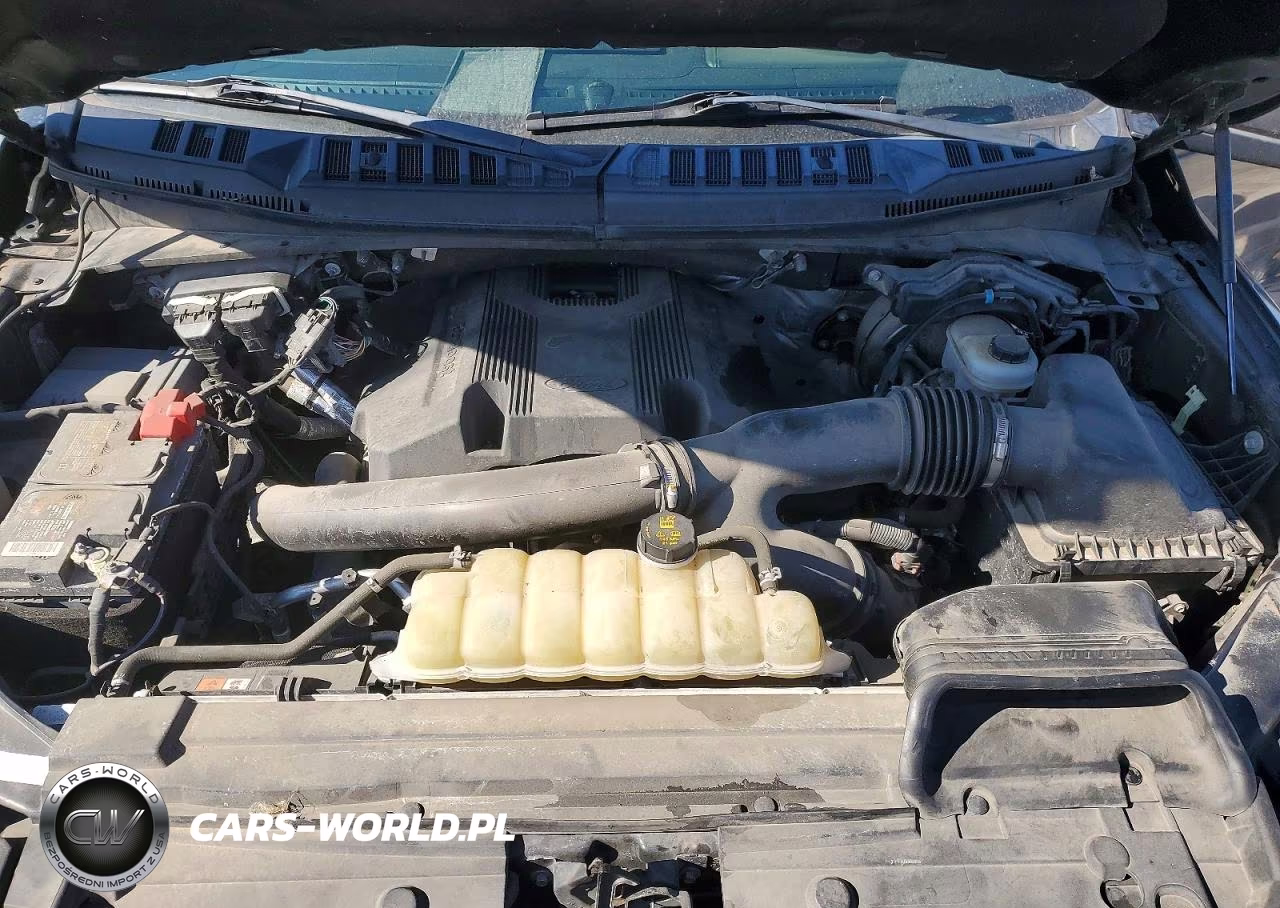 2019 Ford F150 Supercrew VIN:1FTEW1E41KKE36384 - 11