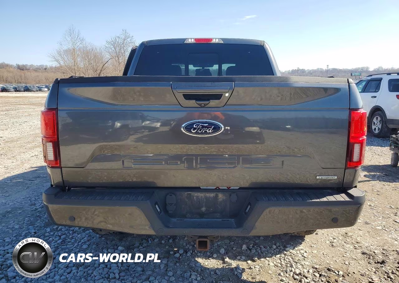 2019 Ford F150 Supercrew VIN:1FTEW1E41KKE36384 - 6