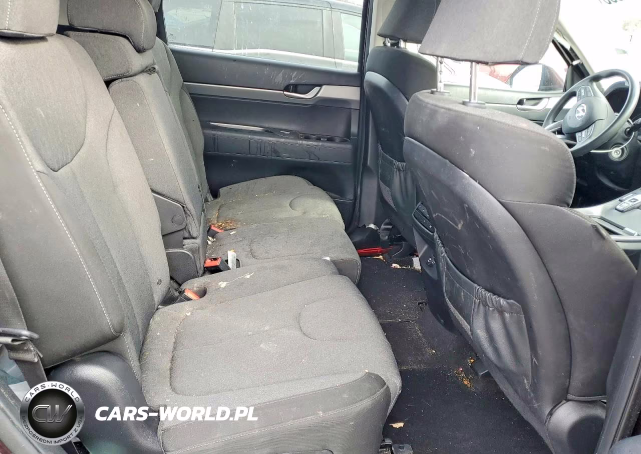 2020 Hyundai Palisade Se VIN:KM8R1DHE5LU043978 - 11