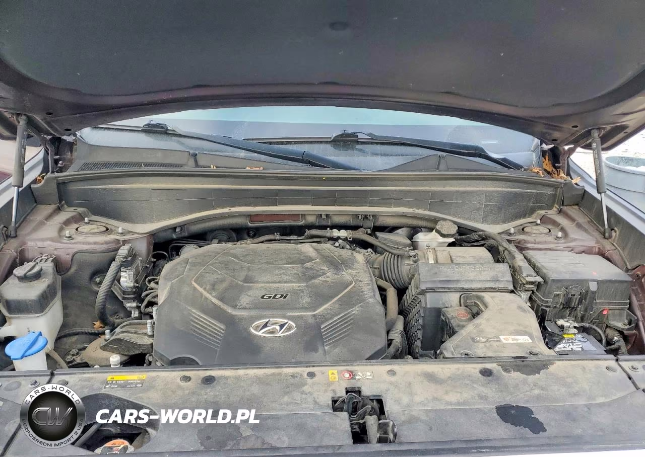 2020 Hyundai Palisade Se VIN:KM8R1DHE5LU043978 - 12
