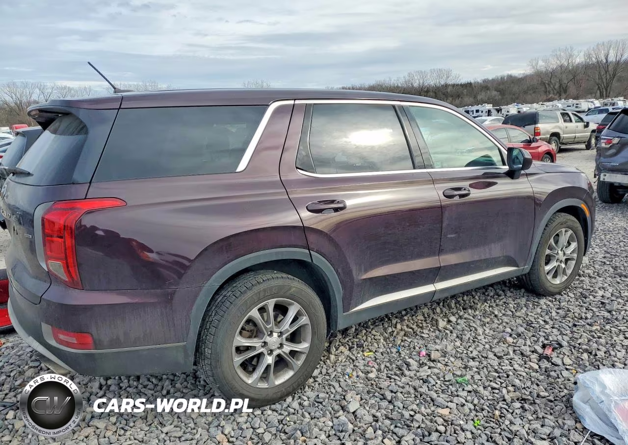 2020 Hyundai Palisade Se VIN:KM8R1DHE5LU043978 - 3