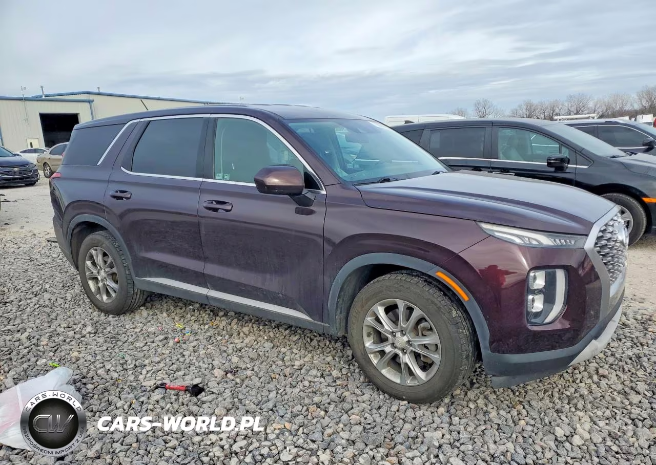2020 Hyundai Palisade Se VIN:KM8R1DHE5LU043978 - 4