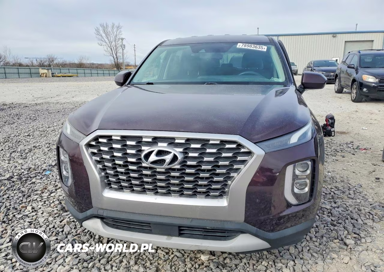 2020 Hyundai Palisade Se VIN:KM8R1DHE5LU043978 - 5