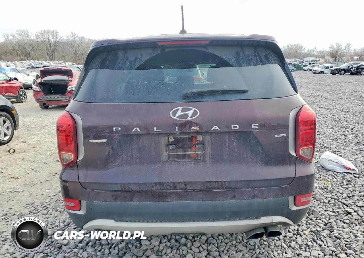 2020 Hyundai Palisade Se VIN:KM8R1DHE5LU043978 - 6