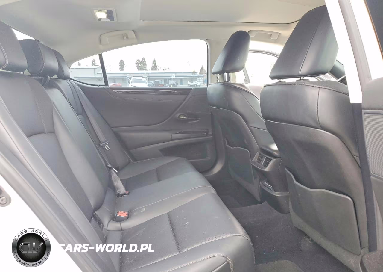 2020 Lexus Es 350 Base VIN:58ADZ1B18LU065327 - 10