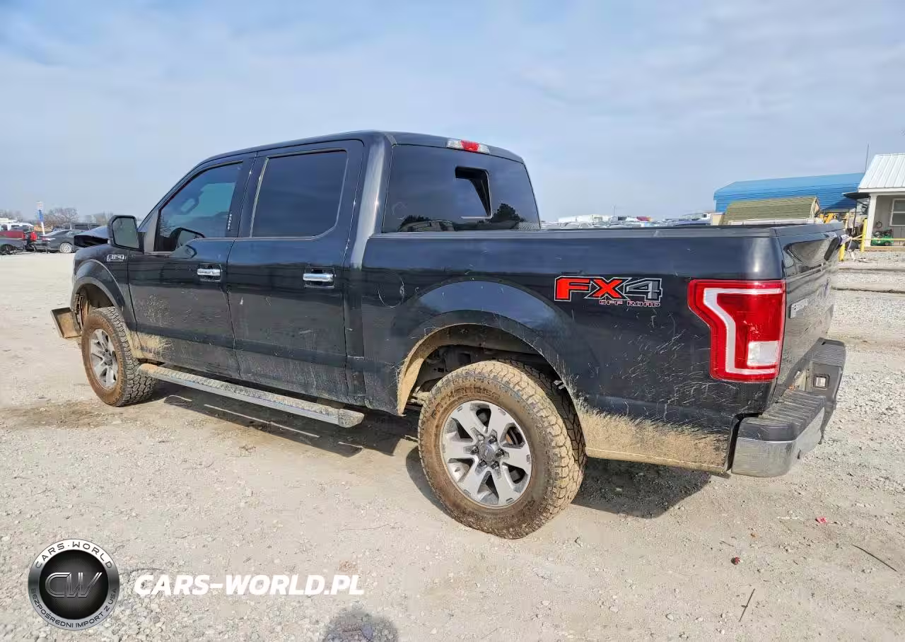 2015 Ford F150 Supercrew VIN:1FTEW1EF3FFA55958 - 2