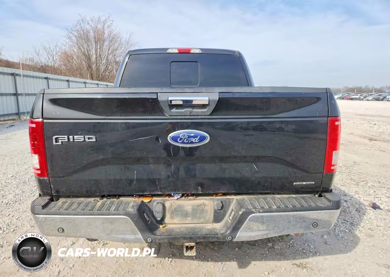 2015 Ford F150 Supercrew VIN:1FTEW1EF3FFA55958 - 6