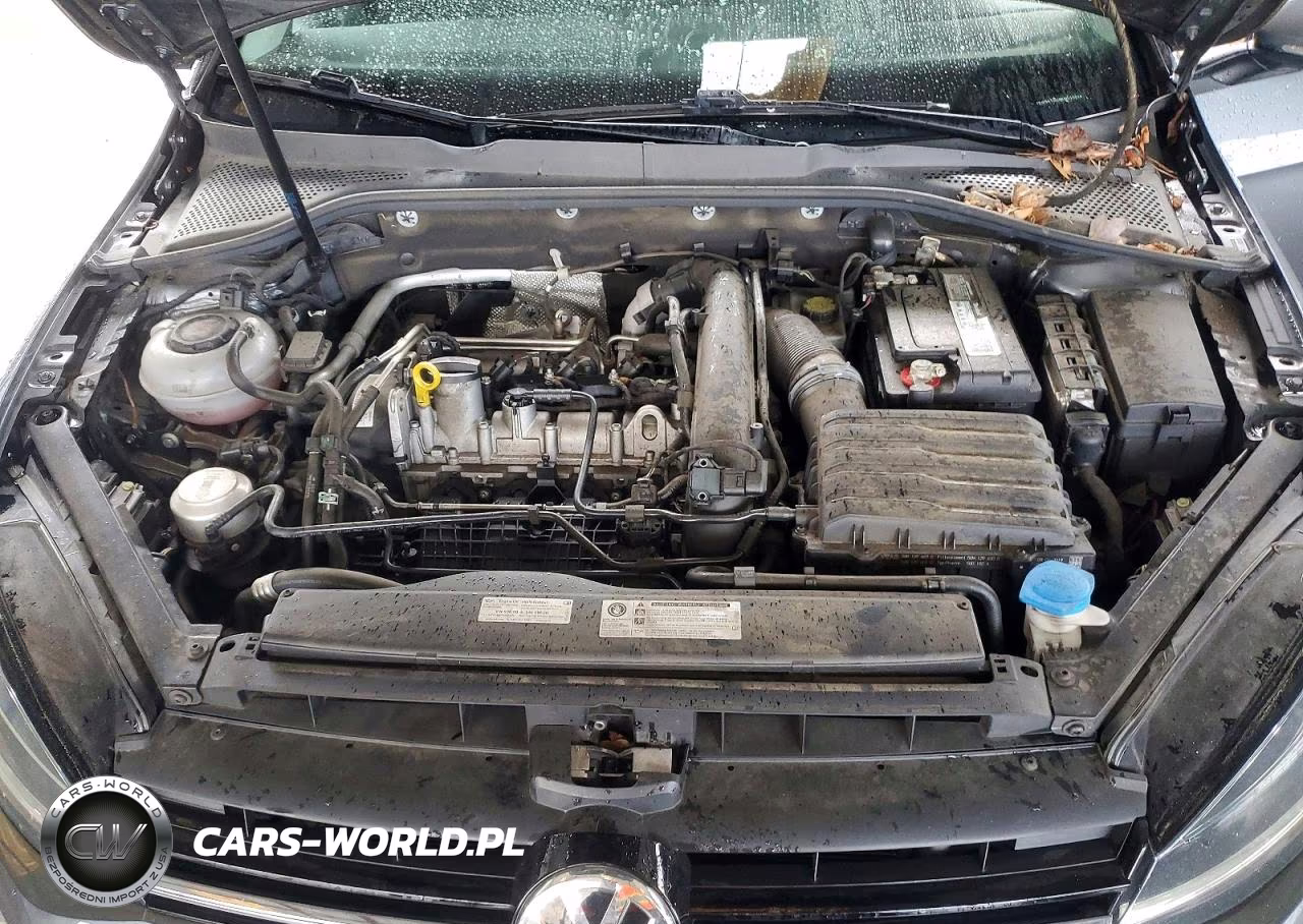 2019 Volkswagen Golf S VIN:3VWG57AUXKM010526 - 11