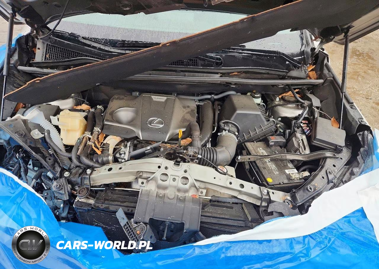 2021 Lexus Nx 300 F Sport VIN:JTJSARBZ4M2194903 - 11