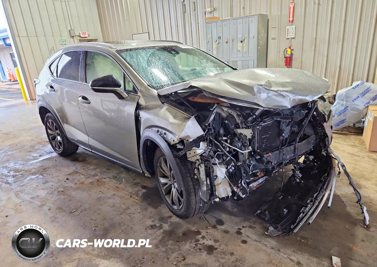 2021 Lexus Nx 300 F Sport VIN:JTJSARBZ4M2194903 - 4