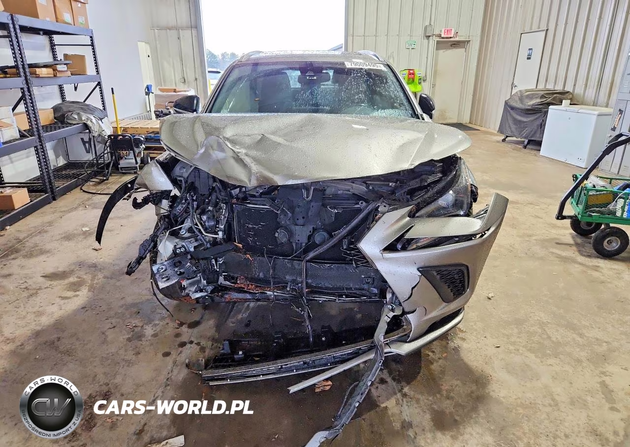 2021 Lexus Nx 300 F Sport VIN:JTJSARBZ4M2194903 - 5