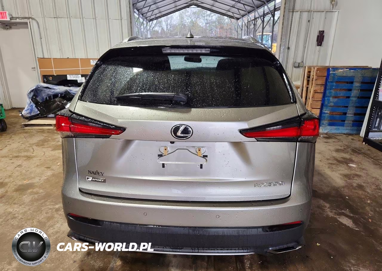 2021 Lexus Nx 300 F Sport VIN:JTJSARBZ4M2194903 - 6