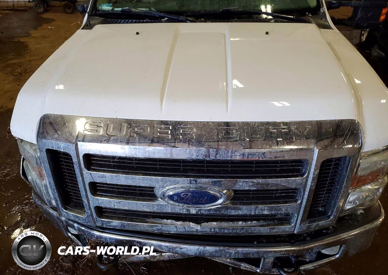 2008 Ford F250 Super Duty VIN:1FTSW21R88ED44058 - 11