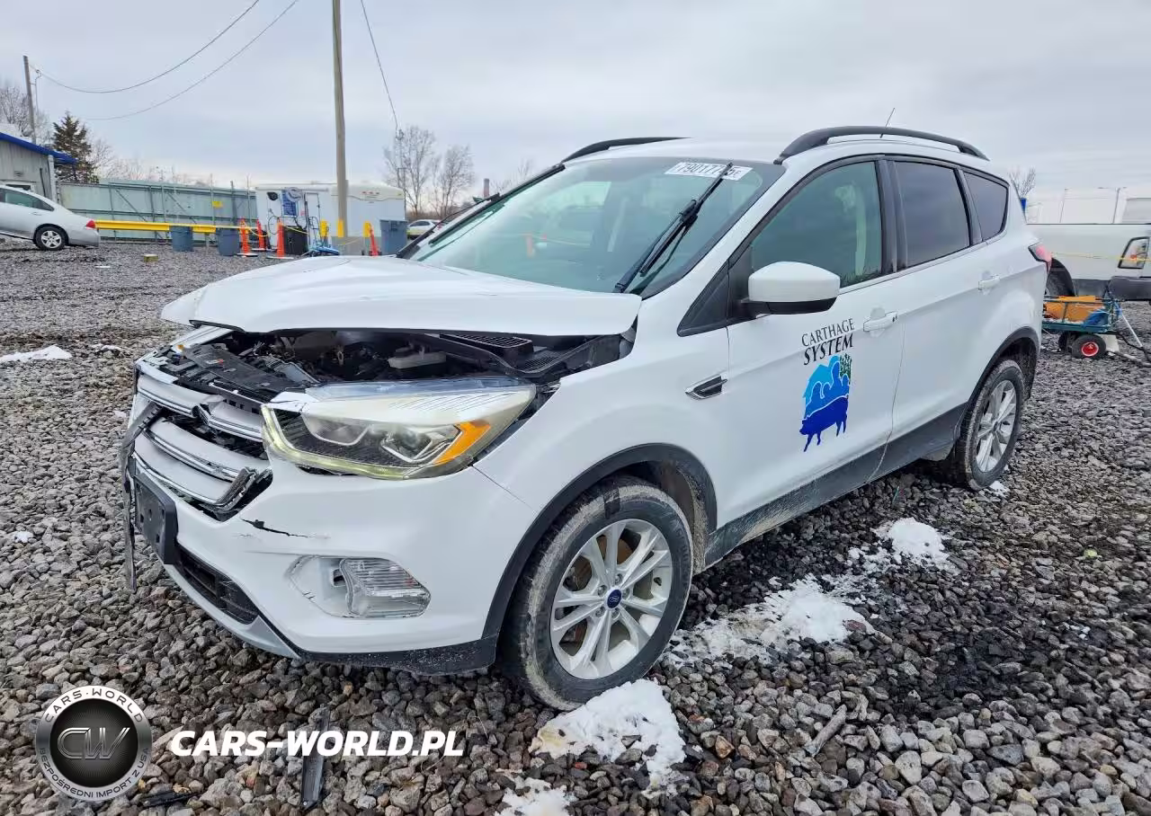 2019 Ford Escape Sel