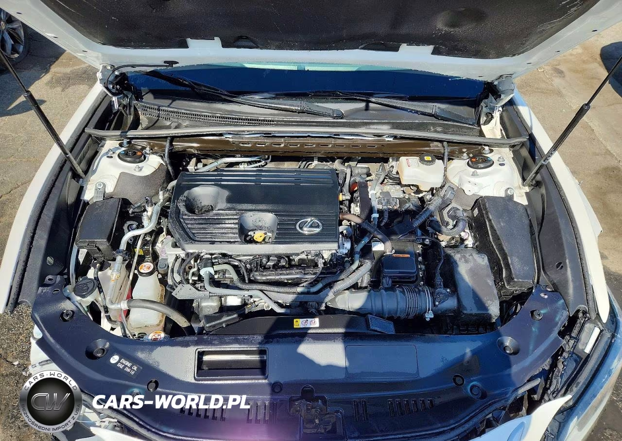 2024 Lexus Es 300H Base VIN:58ADA1C1XRU037902 - 11