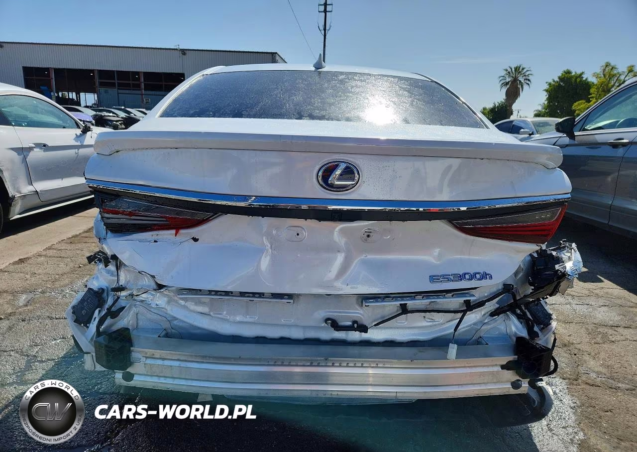 2024 Lexus Es 300H Base VIN:58ADA1C1XRU037902 - 6