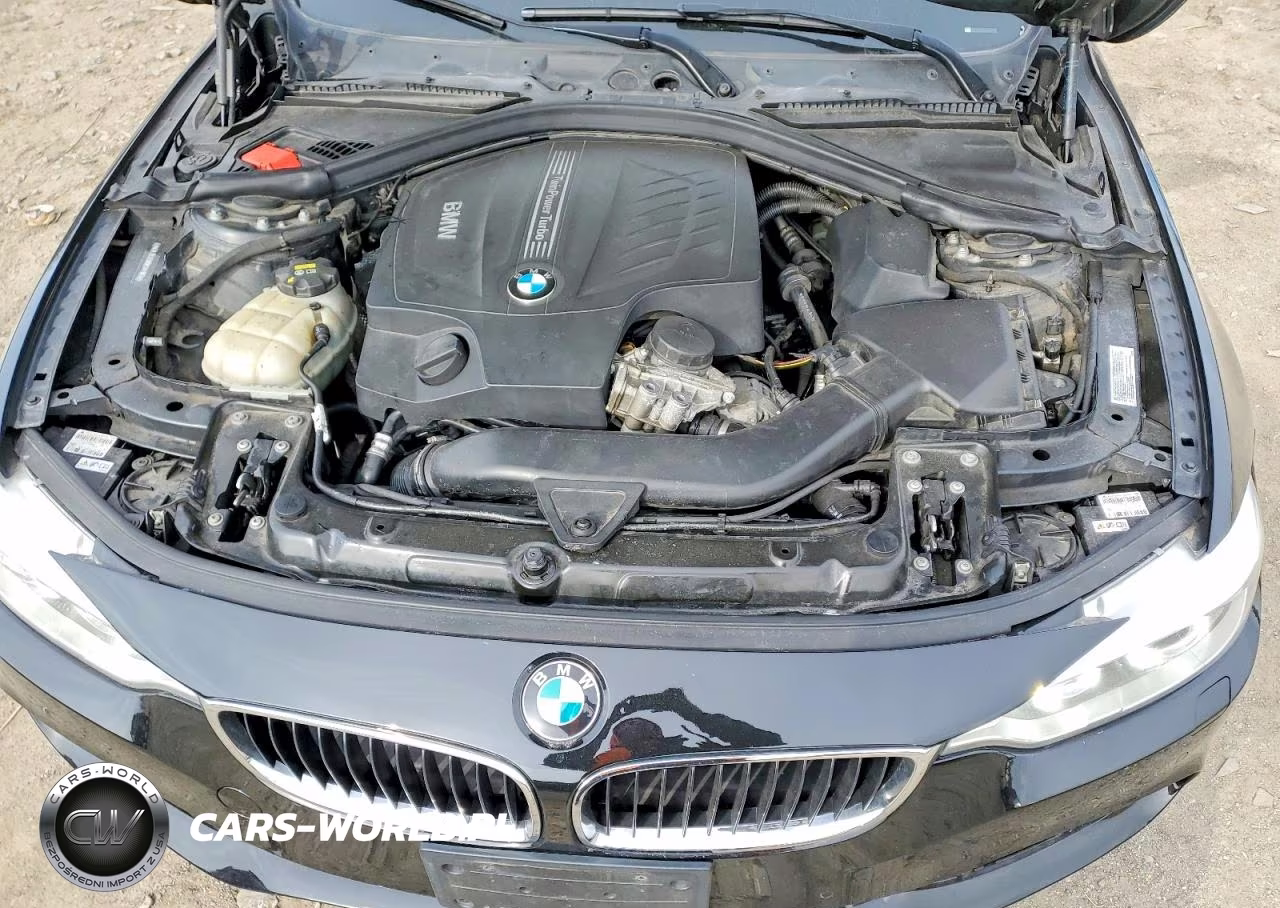 2016 BMW 435 Xi VIN:WBA3R5C58GK374083 - 11