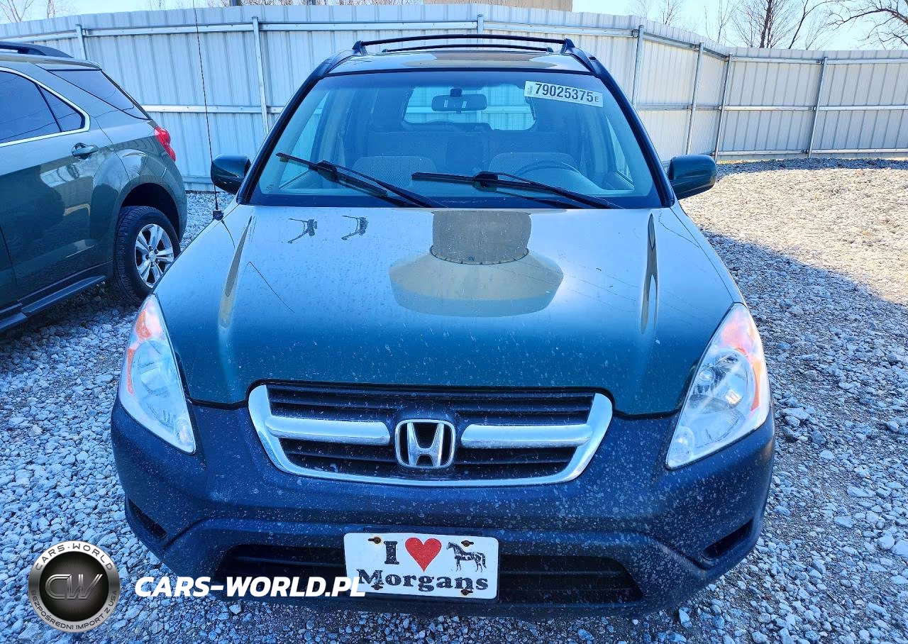 2004 Honda Cr-V Ex VIN:JHLRD78894C042303 - 5