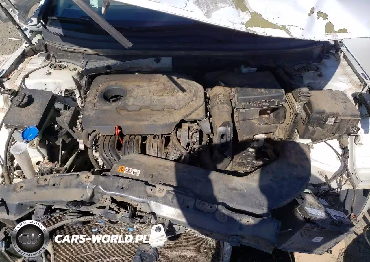 2015 Hyundai Sonata Se VIN:5NPE24AF6FH259047 - 11