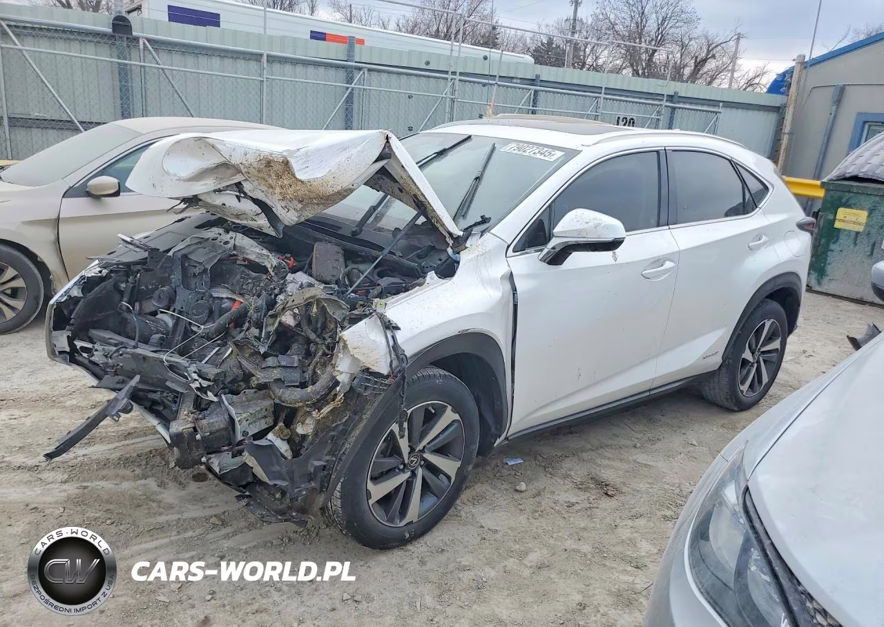 2020 Lexus Nx 300H