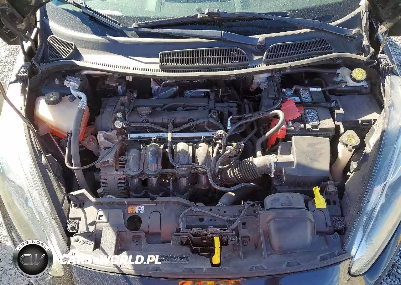 2014 Ford Fiesta Se VIN:3FADP4BJ1EM233227 - 11