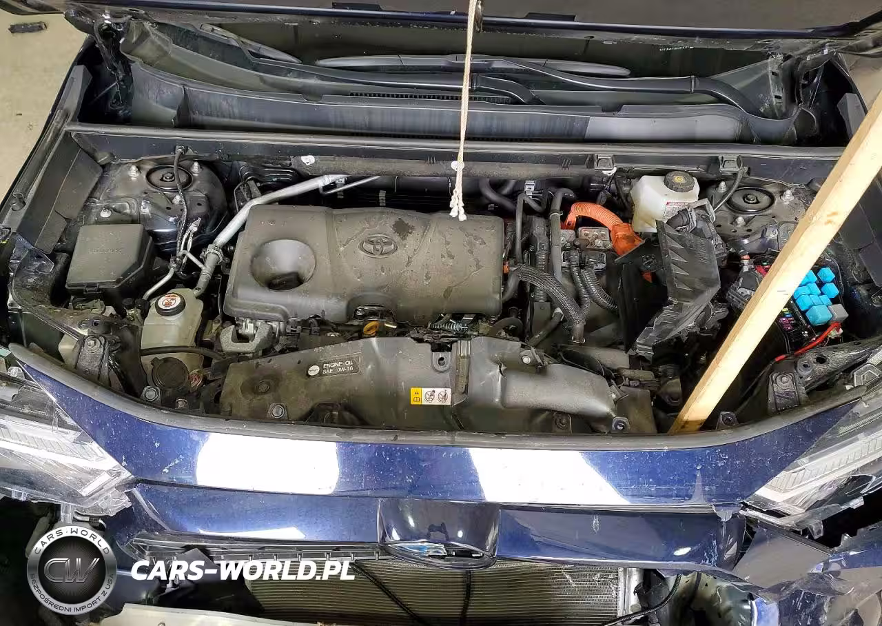 2024 Toyota Rav4 Hybrid Xle VIN:2T3RWRFV8RW200372 - 12