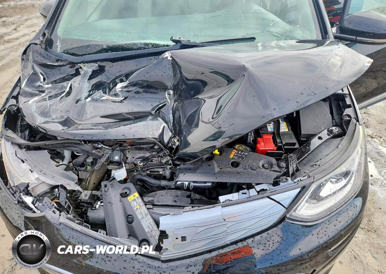 2018 Chevrolet Bolt Ev Lt VIN:1G1FW6S06J4133597 - 11