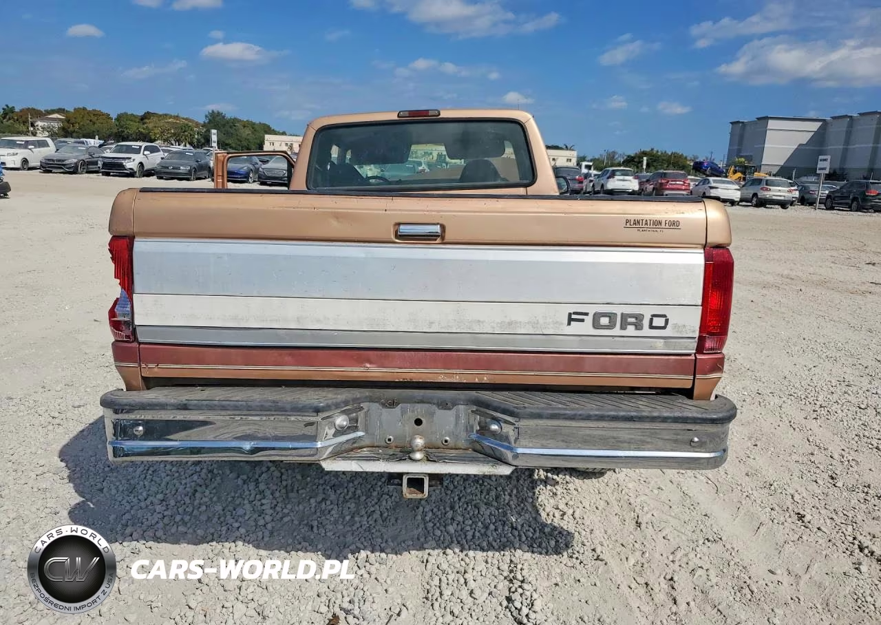 1995 Ford F150 VIN:1FTEX15N3SKA03106 - 6
