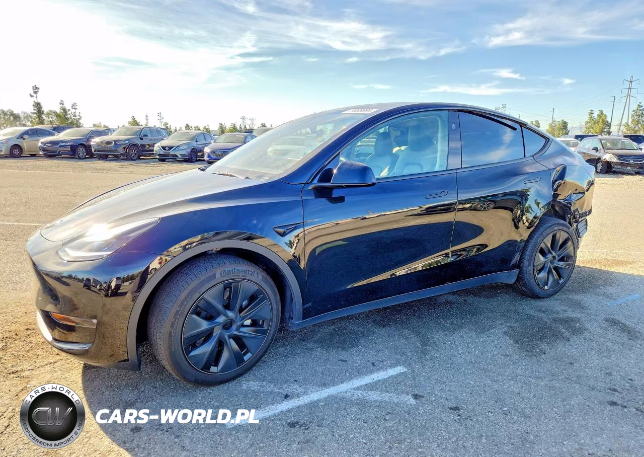 2024 Tesla Model Y