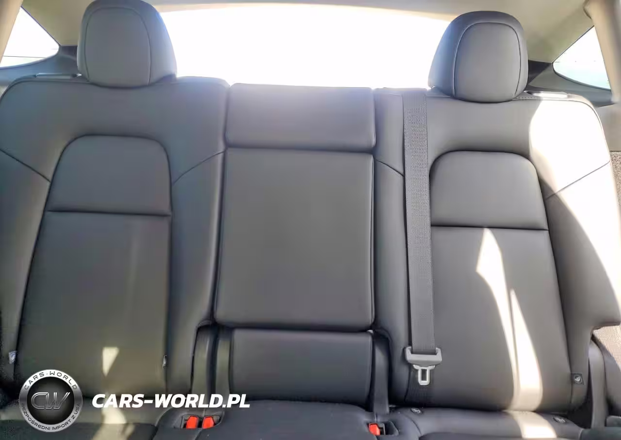 2025 Tesla Model Y VIN:7SAYGDED9SF321592 - 10