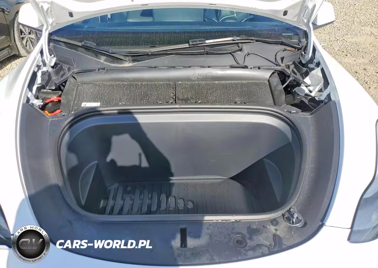 2025 Tesla Model Y VIN:7SAYGDED9SF321592 - 12