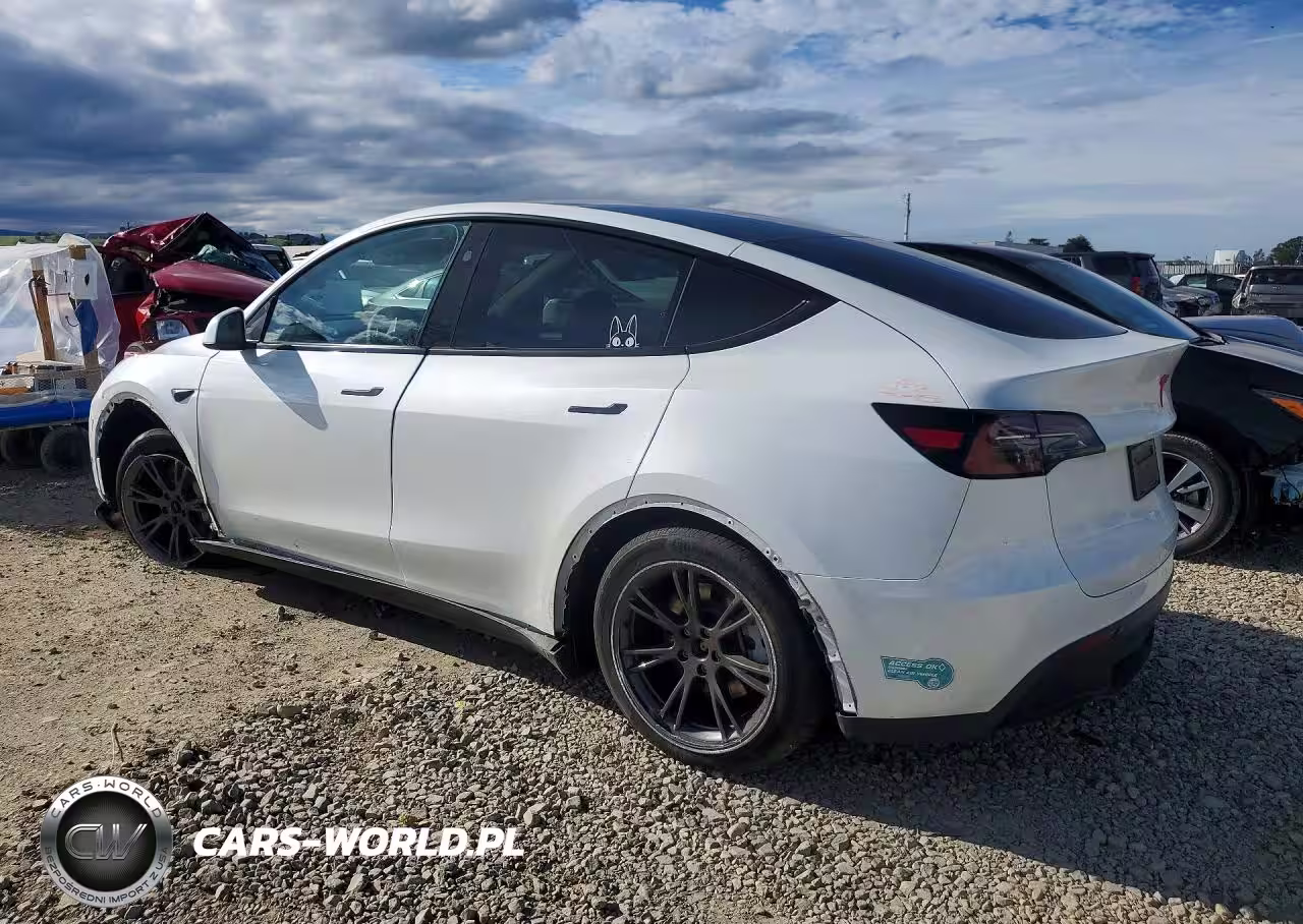 2025 Tesla Model Y VIN:7SAYGDED9SF321592 - 2