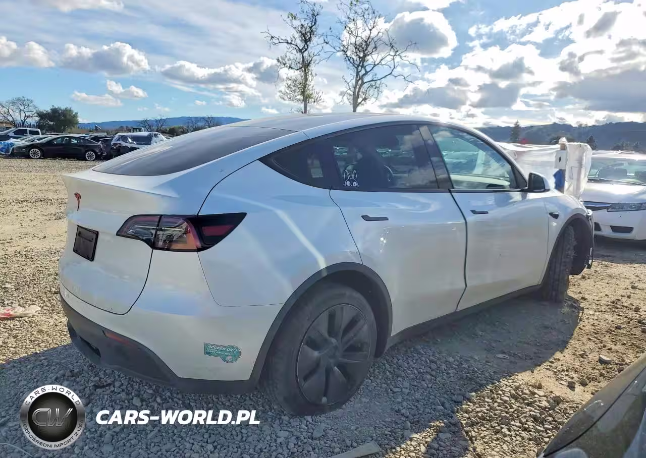 2025 Tesla Model Y VIN:7SAYGDED9SF321592 - 3