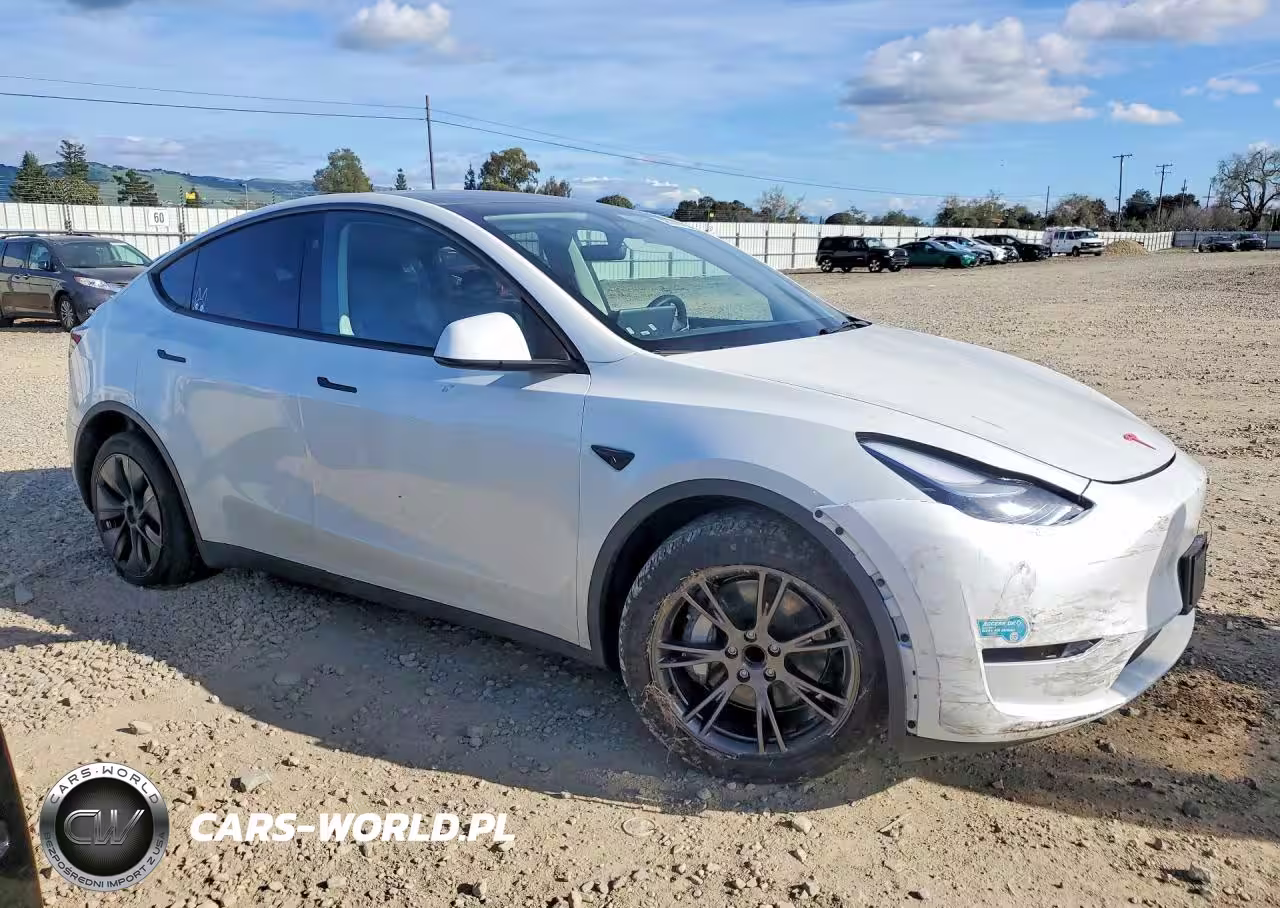 2025 Tesla Model Y VIN:7SAYGDED9SF321592 - 4