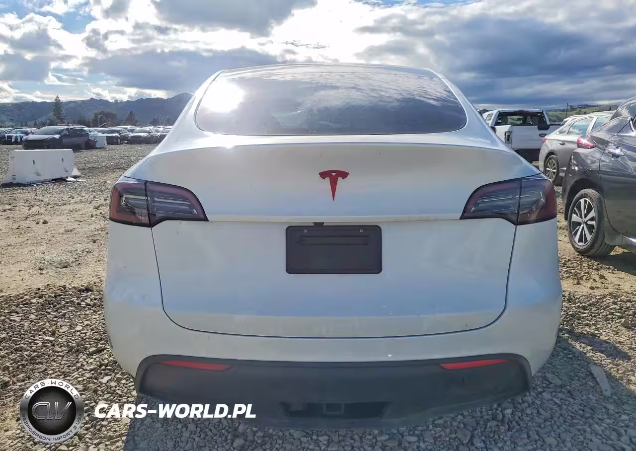 2025 Tesla Model Y VIN:7SAYGDED9SF321592 - 6