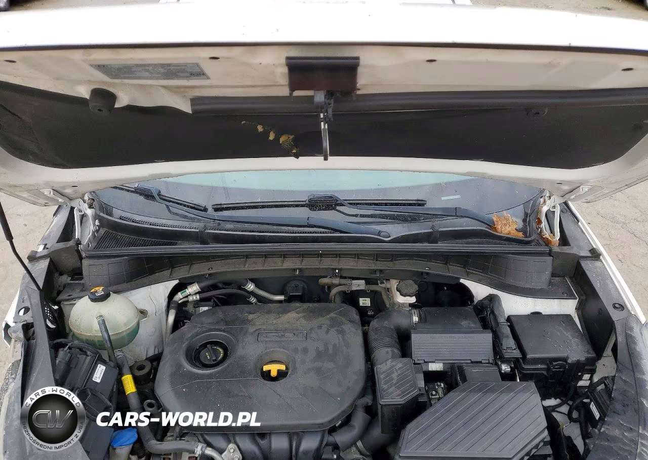 2019 Hyundai Tucson Value VIN:KM8J3CA45KU983814 - 12