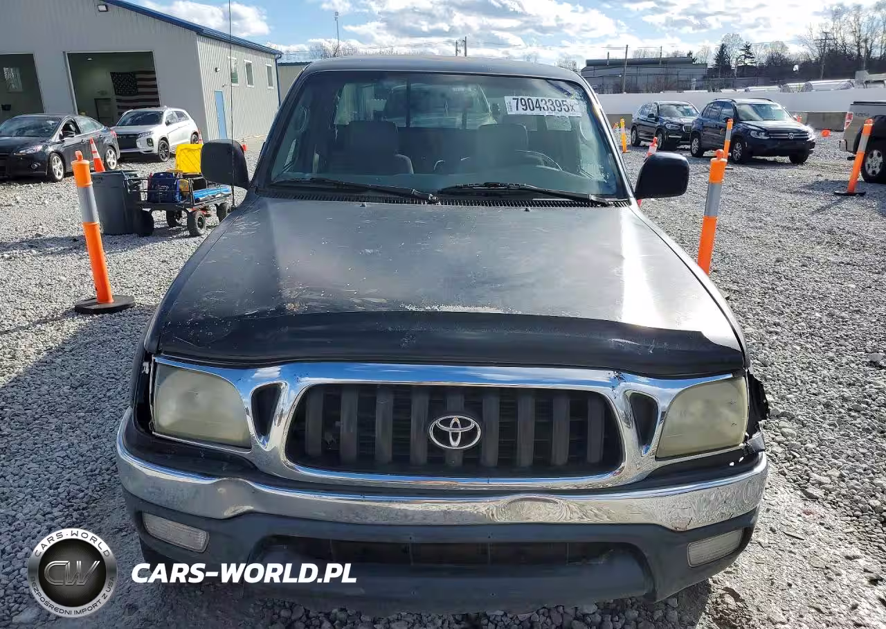 2003 Toyota Tacoma Prerunner VIN:5TESM92N83Z192430 - 5