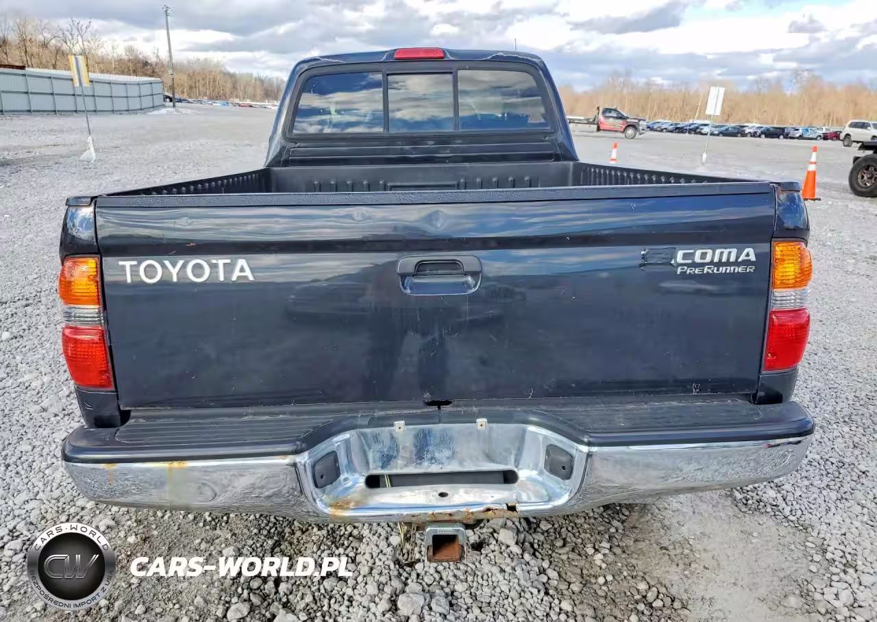 2003 Toyota Tacoma Prerunner VIN:5TESM92N83Z192430 - 6