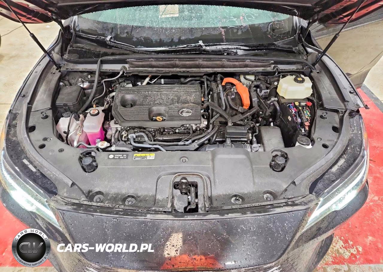 2025 Lexs Rx 350H Ba VIN:2T2BBMCA2SC083336 - 12